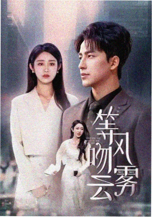 汤姆影视作品分类之行业剧集封面